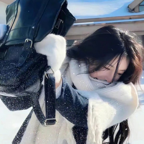 第八夫人